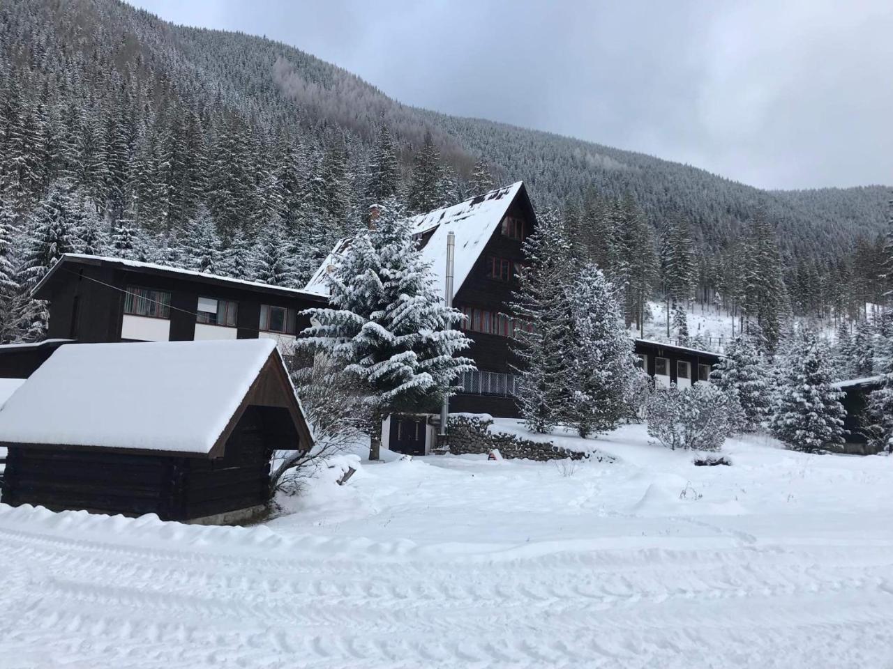 Horska Chata Primula - 1000 M Nad Morom Zuberec Eksteriør billede
