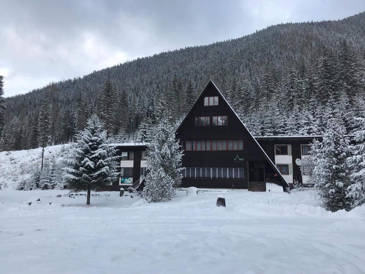 Horska Chata Primula - 1000 M Nad Morom Zuberec Eksteriør billede